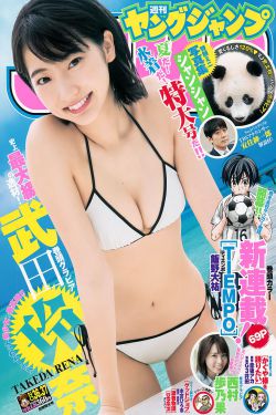 海贼王507集