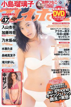 木府风云39集