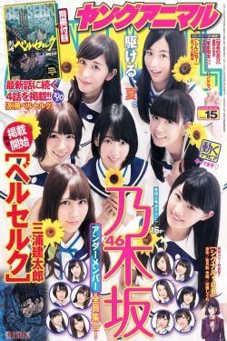 黑客帝国3高清