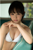 豬豬俠2全集