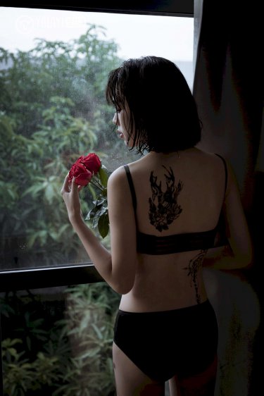 远征远征电视剧
