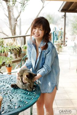 与君歌 电视剧
